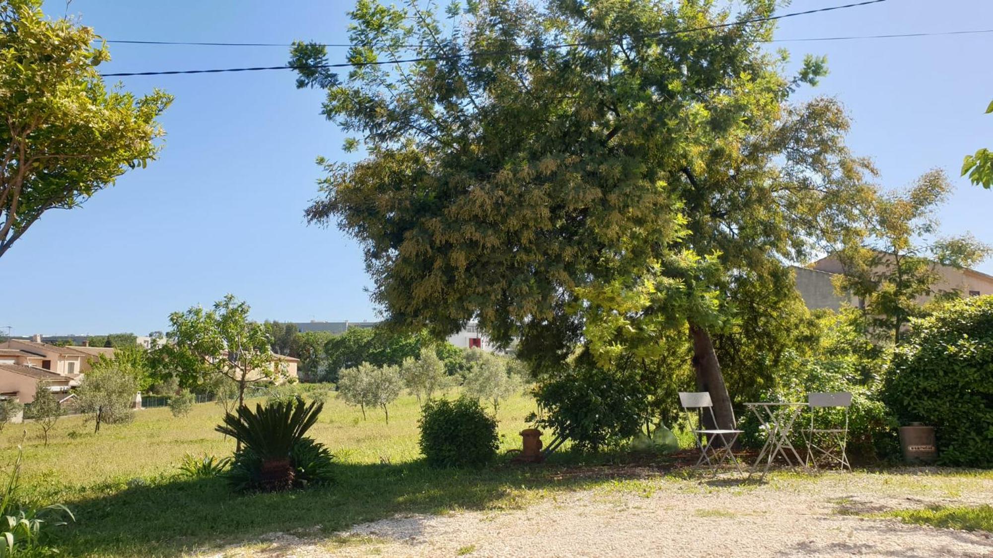 הייר L'Oliveraie מראה חיצוני תמונה